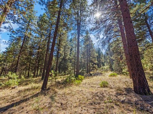 Buildable Lot on 40 Acres : Klamath Falls : Klamath County : Oregon