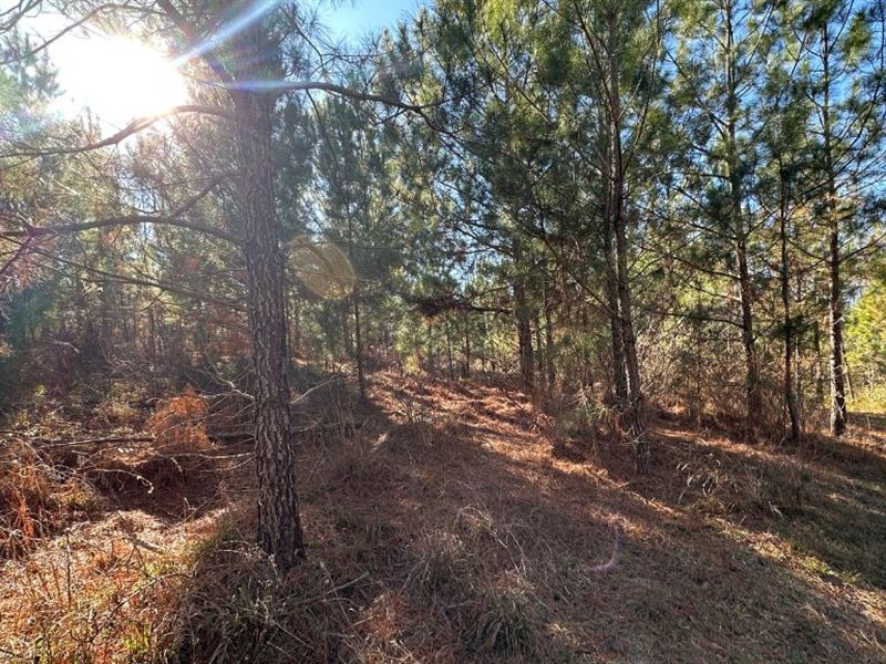 Griffin Landing : Girard : Burke County : Georgia
