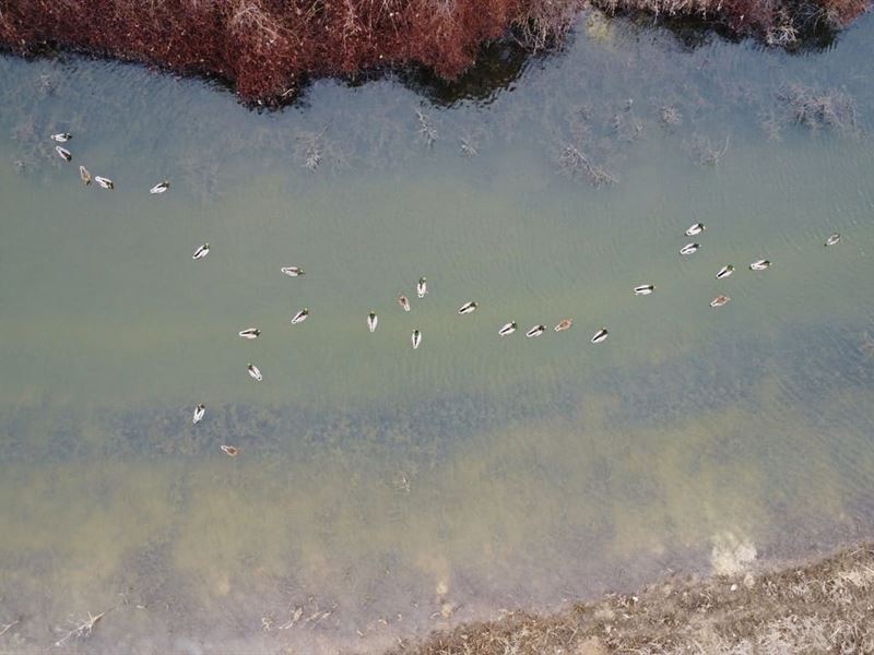 L'anguille River 162 : Wynne : Cross County : Arkansas