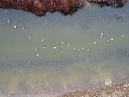 L'anguille River 162 : Wynne : Cross County : Arkansas