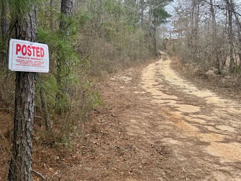 40 Acres in Laurens County, GA : Dudley : Laurens County : Georgia