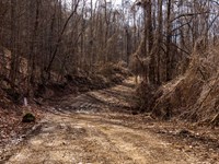 $999 Down/Borders National Forest : Manchester : Clay County : Kentucky