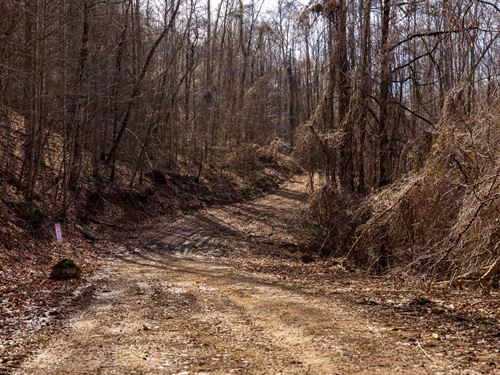 $999 Down/Borders National Forest : Manchester : Clay County : Kentucky