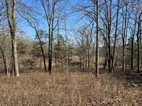 Land for Sale in Ozark County MO : Brixey : Ozark County : Missouri