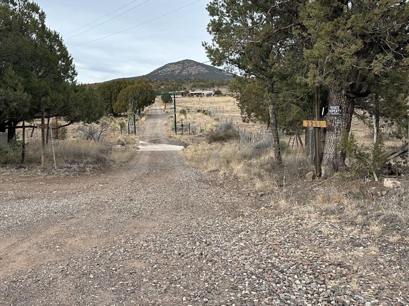 310 Acres in Silver City, New Mexico : Silver City : Grant County : New Mexico