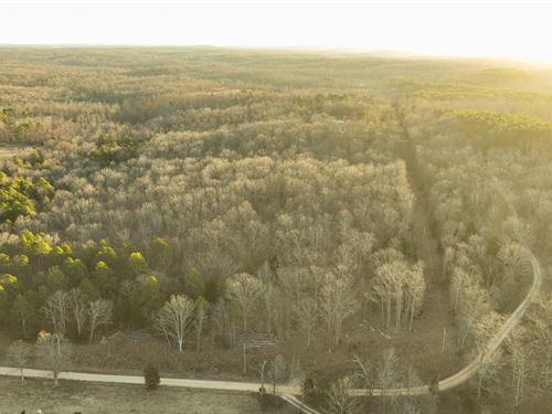 White Oak 40 : Mountain View : Shannon County : Missouri