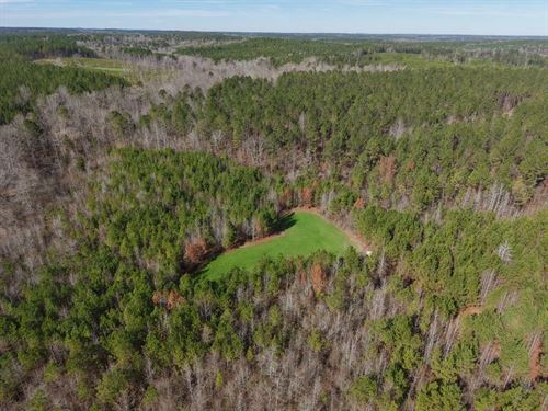 20 Acres in Choctaw County, AL : Lisman : Choctaw County : Alabama
