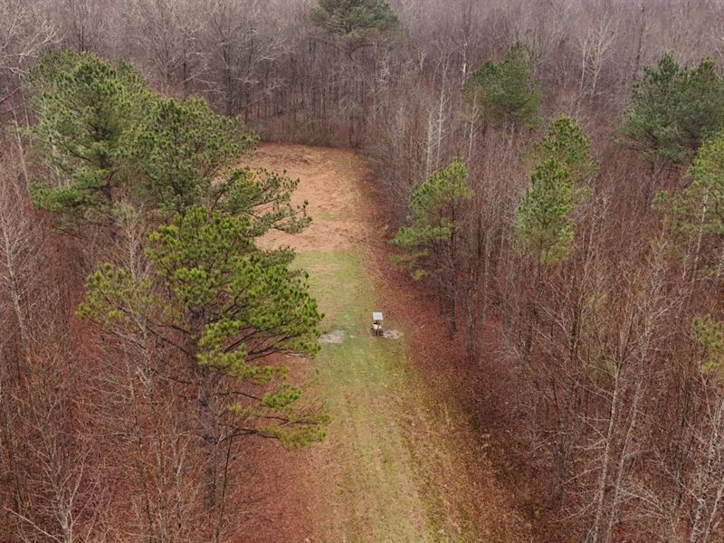 51 Acres in Oktibbeha County, MS : Starkville : Oktibbeha County : Mississippi