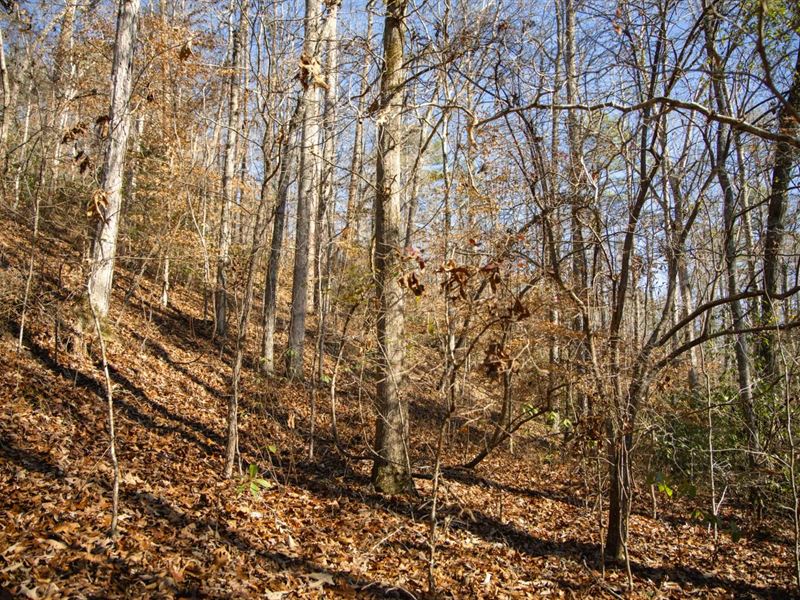 82 Acres in Bibb County, AL : Brent : Bibb County : Alabama