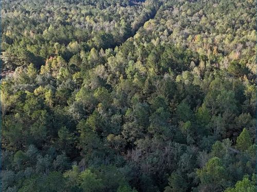 53.7 Acres in Forrest County in Hat : Hattiesburg : Forrest County : Mississippi