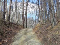 Private Land with Views : Boones Mill : Franklin County : Virginia