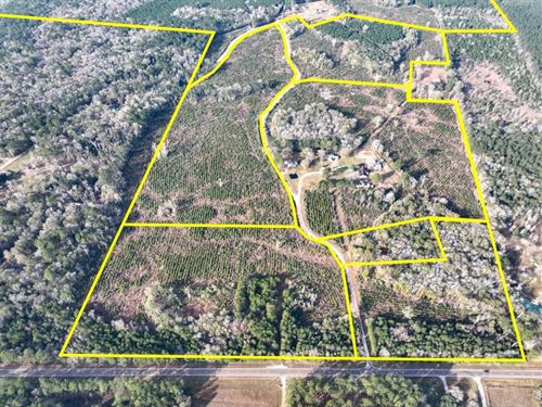512 Acres, T-10, FM 787, 00043 : Saratoga : Hardin County : Texas