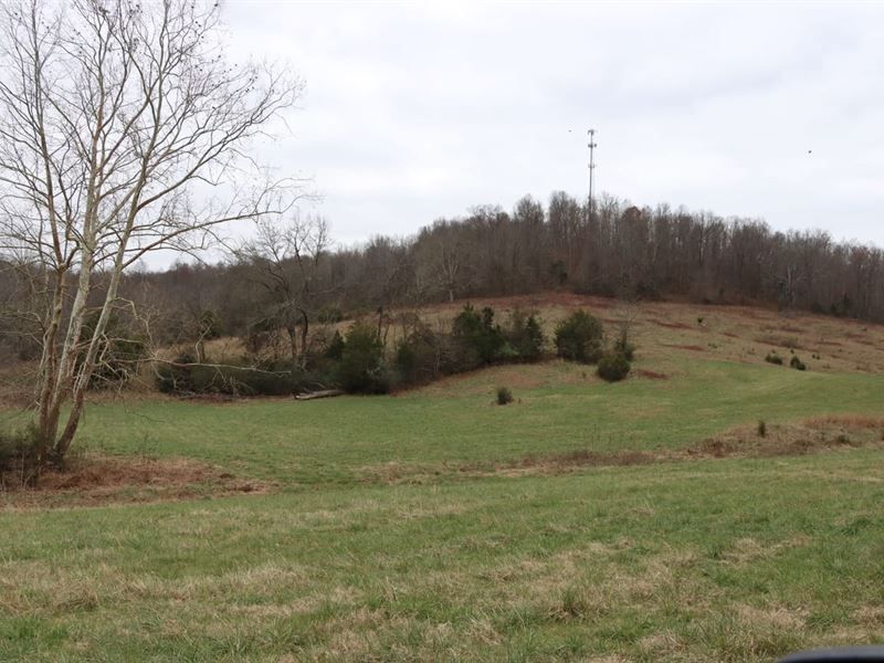 Deer Hunting & More : Horse Cave : Hart County : Kentucky