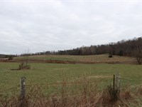 Cattle Horse & Hunting Property : Horse Cave : Hart County : Kentucky