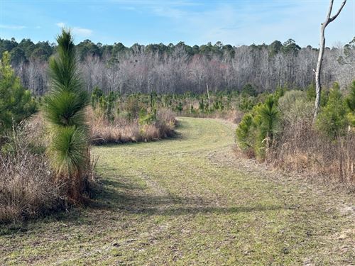 Shady Oaks : Sylvania : Screven County : Georgia