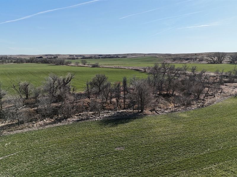 Beaver Creek Bottomground : Herndon : Decatur County : Kansas
