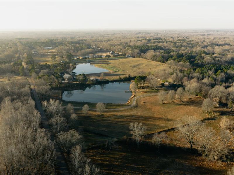 A Home on 34.97 Acres in Shelby Cou : Collierville : Shelby County : Tennessee