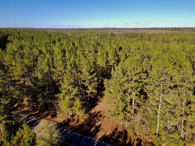 56.7 Acres in Stone County, MS : Wiggins : Stone County : Mississippi