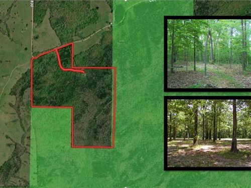 Ozark County Recreational Property : Thornfield : Ozark County : Missouri