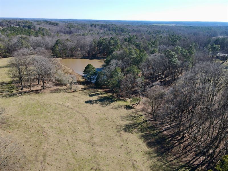 29 Acres, Homesite, Pasture : Waco : Carroll County : Georgia