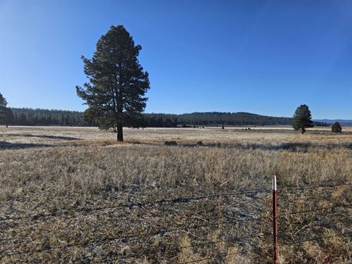 Natural Beauty : Beatty : Klamath County : Oregon