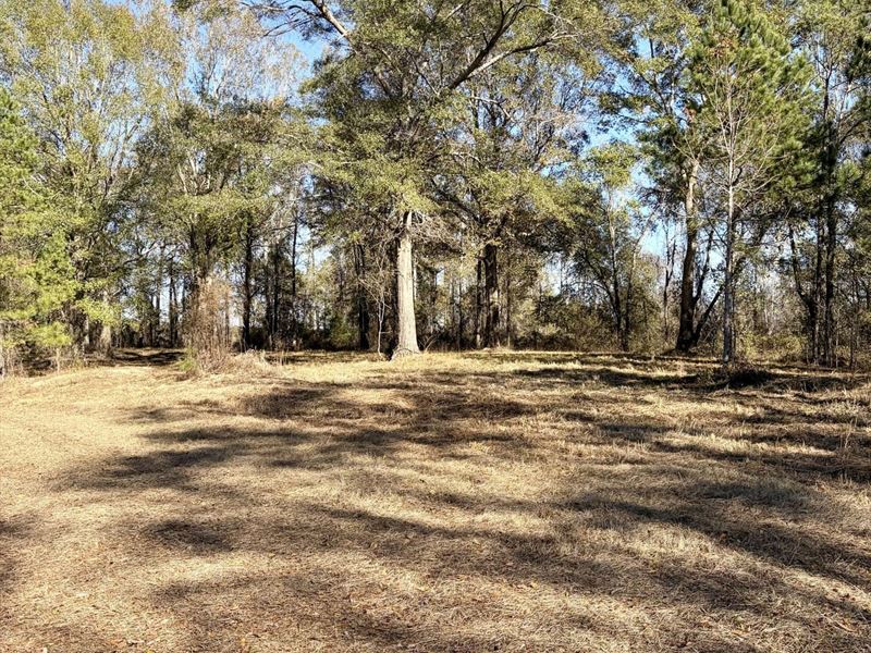 10-052 Cloverdale Tract : Greenville : Butler County : Alabama