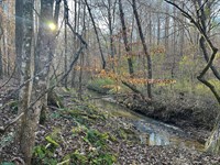 Tindal Treasure Forest : Weoka : Elmore County : Alabama