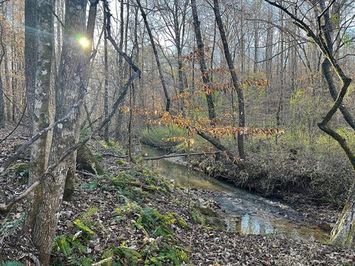 Tindal Treasure Forest : Weoka : Elmore County : Alabama