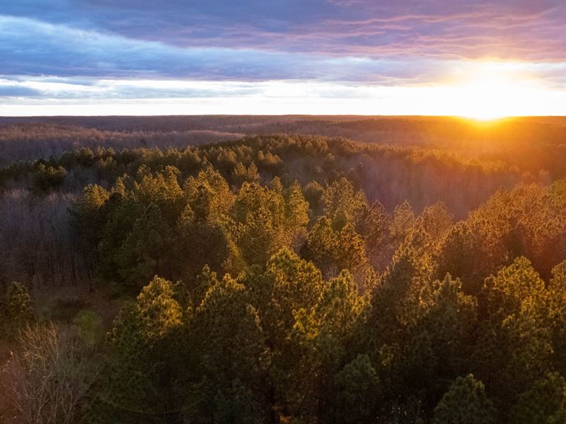 Tennessee River Overlook Tract 3 : Holladay : Benton County : Tennessee