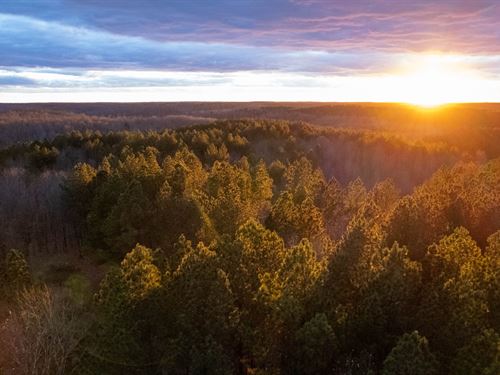 Tennessee River Overlook Tract 3 : Holladay : Benton County : Tennessee
