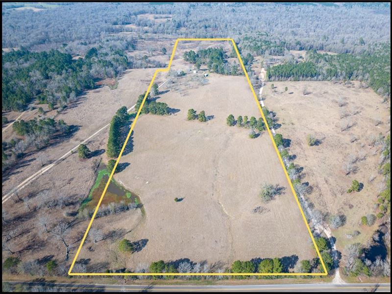 62 Acres, FM 328 : Huntington : Angelina County : Texas