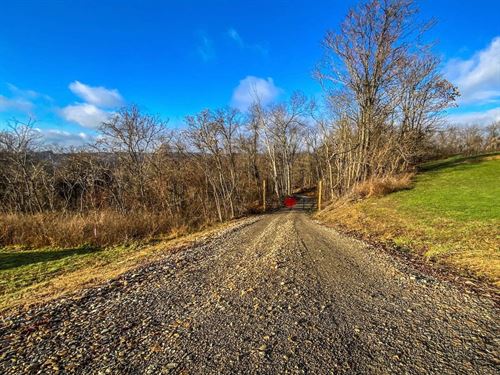 New Cut Rd, 11 Acres : Shadyside : Belmont County : Ohio