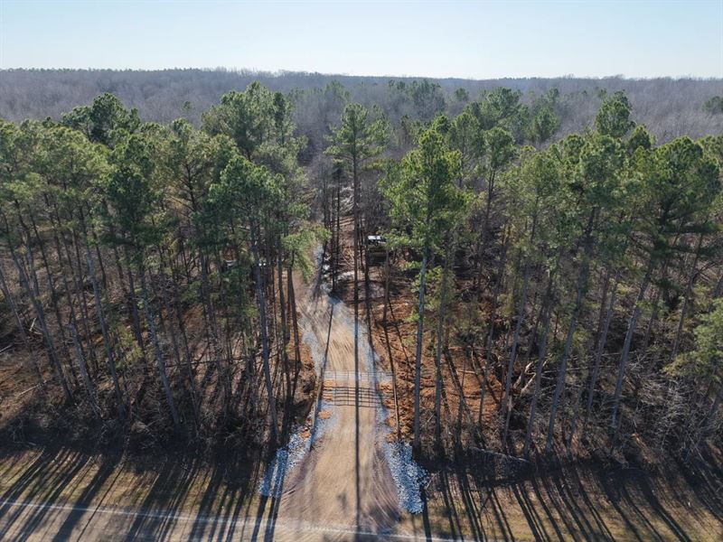74 Acres in Hardeman County, TN : Bolivar : Hardeman County : Tennessee