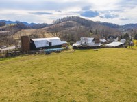 Land Auction Open Farm and Ranch : North Tazewell : Tazewell County : Virginia