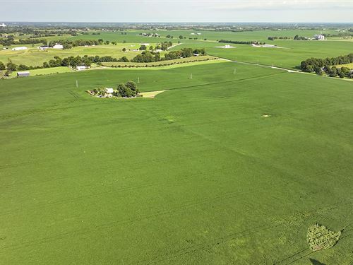 Land Auction, Mercer Co, KY : Harrodsburg : Mercer County : Kentucky