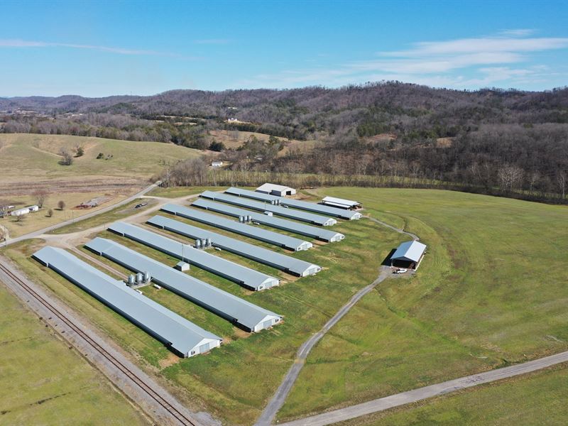 East Tennessee 8-House Farm : Whitesburg : Hamblen County : Tennessee