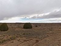Quiet Land, No HOA, Owner Financing : Conchas Dam : San Miguel County : New Mexico