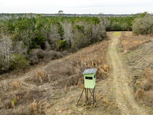 Telfair Tract 1 : Milan : Telfair County : Georgia