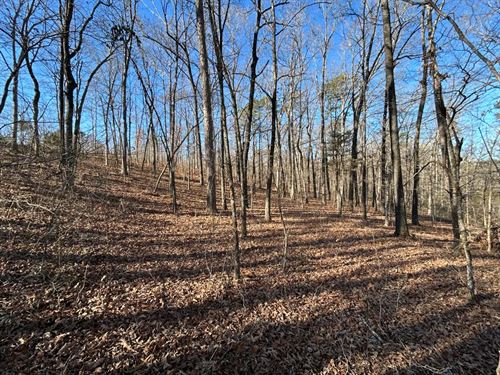 71 Acres in Independence County, AR : Floral : Independence County : Arkansas