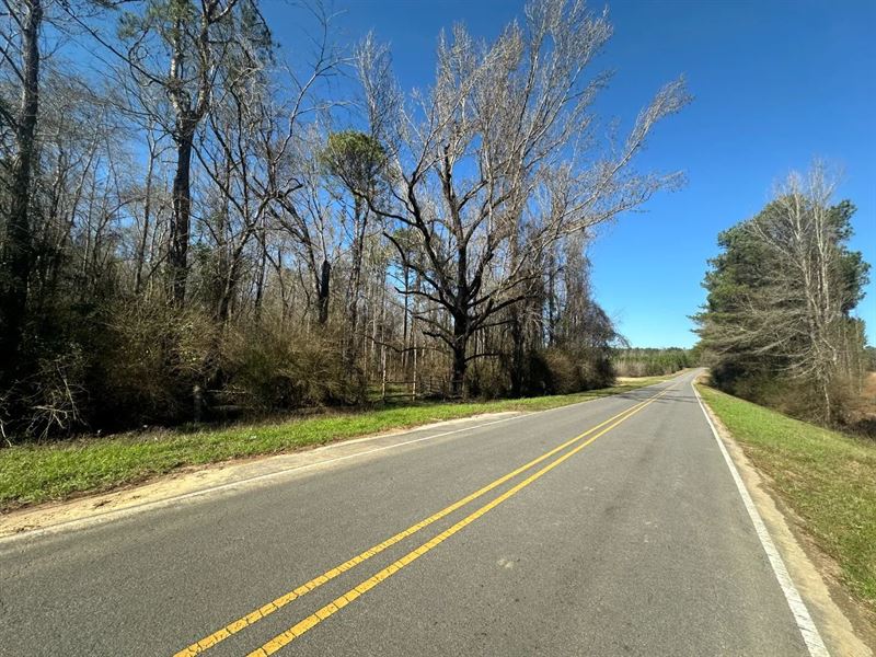 43 Acres in Lawrence County, MS : Silver Creek : Lawrence County : Mississippi