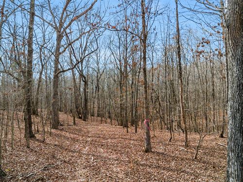 Olde Tennessee Trail 60 : Springville : Henry County : Tennessee