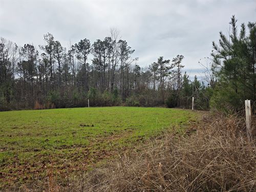 44.18 Acres, Camp Hill, AL : Camp Hill : Tallapoosa County : Alabama