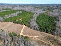 Biggers Farm 129 Acres Harris : Cataula : Harris County : Georgia