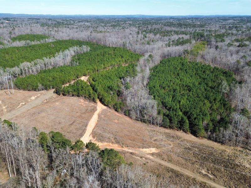 Biggers Farm 129 Acres Harris : Cataula : Harris County : Georgia