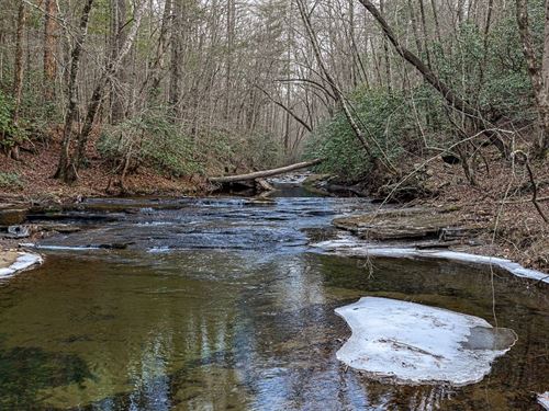 Price Creek Hunting Tract : Talking Rock : Pickens County : Georgia