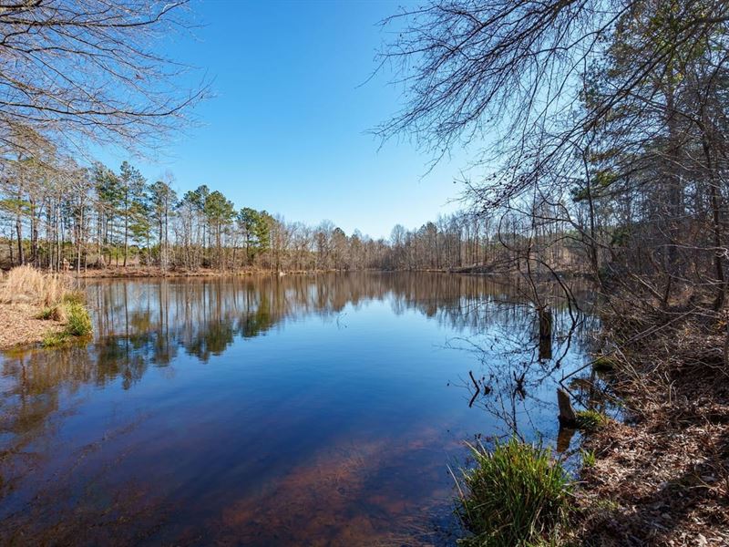 Pines,Pond and Barn : White Plains : Greene County : Georgia