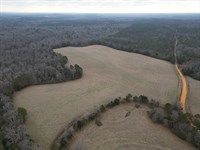 50 Acre Junkins Rd. South Tract : Kennedy : Fayette County : Alabama