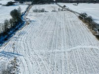 Land Auction, Dekalb Co, In : Butler : DeKalb County : Indiana