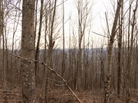 As Low as $499 Down/Multiple Avail : Livingston : Whitley County : Kentucky