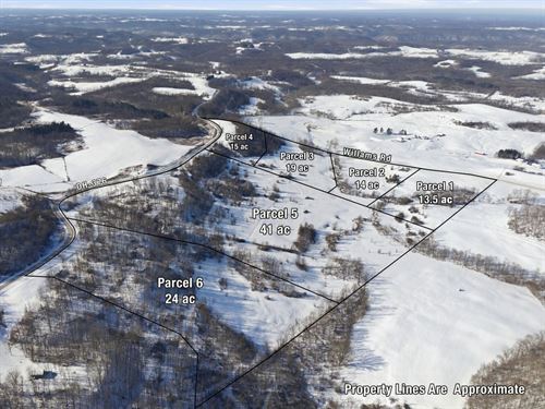 St Rt 376 Parcel 5, 41 Acres : McConnelsville : Morgan County : Ohio